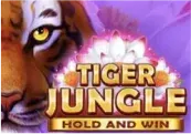 Tiger Jungle